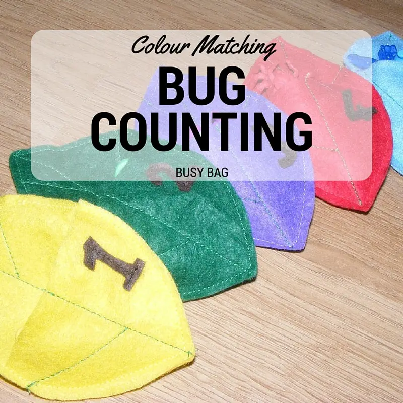 Bug counting busy bag