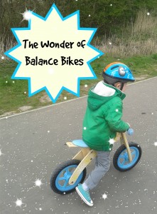 magic wings balance bike