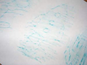 DSCF1151 ed
