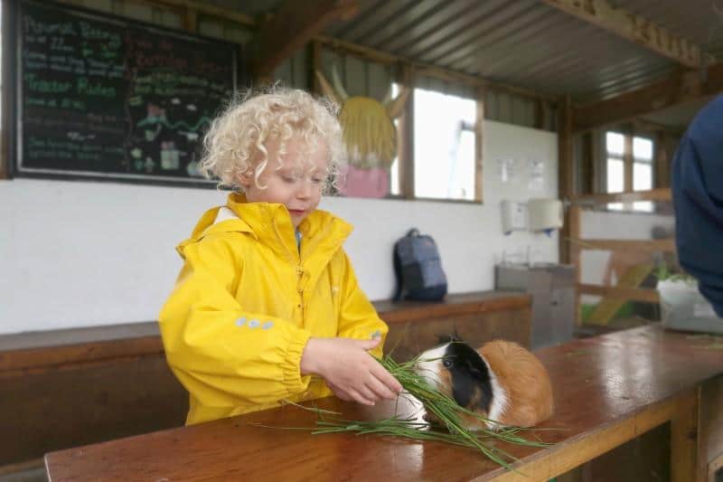 Briarlands animal handling, family days out in Scotland