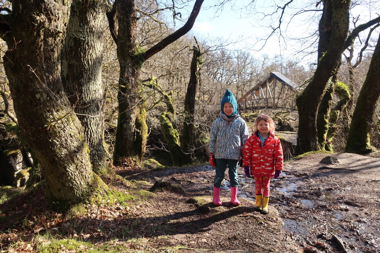 children at Bracklin falls