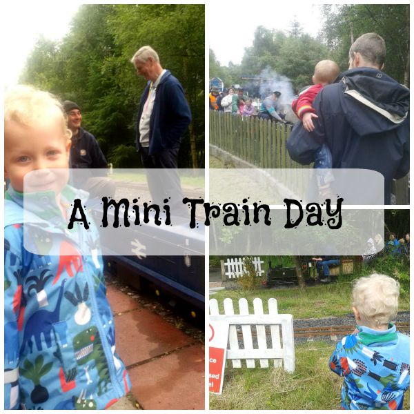 Miniature railway