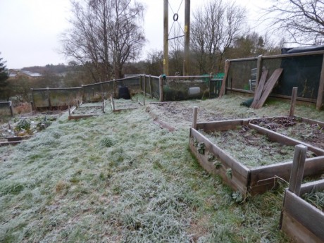 allotment