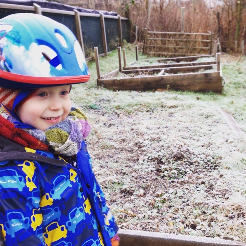 Allotment