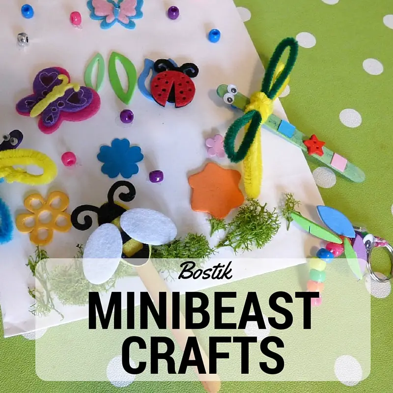 Minibeast crafts