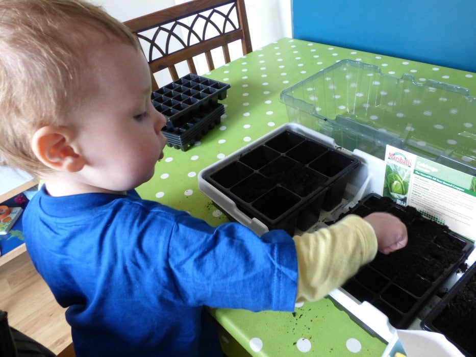 sowing seeds