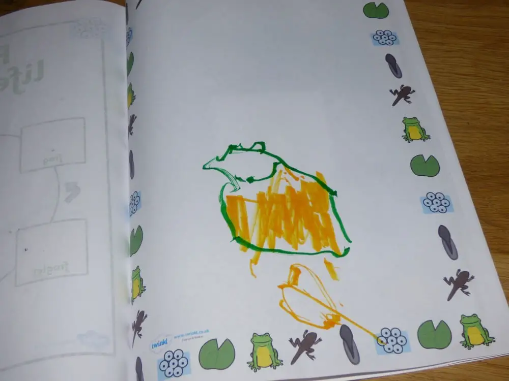 frog work book