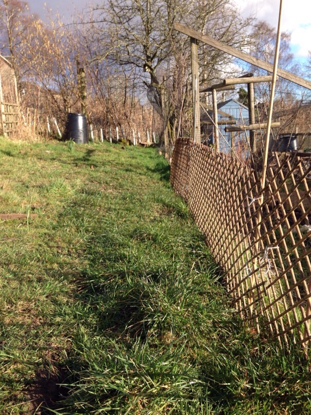 Scottish allotment