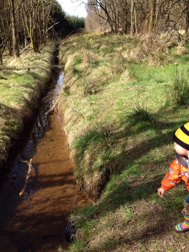 Sheriffmuir Gathering Stone