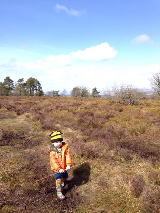 Sheriffmuir Gathering Stone