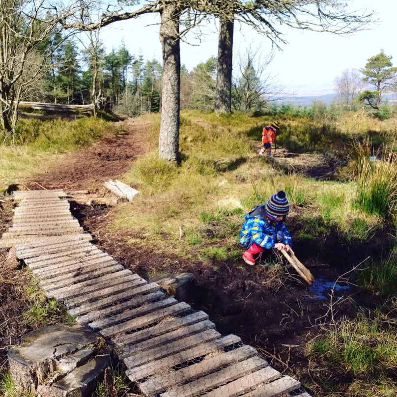 Sheriffmuir Gathering Stone