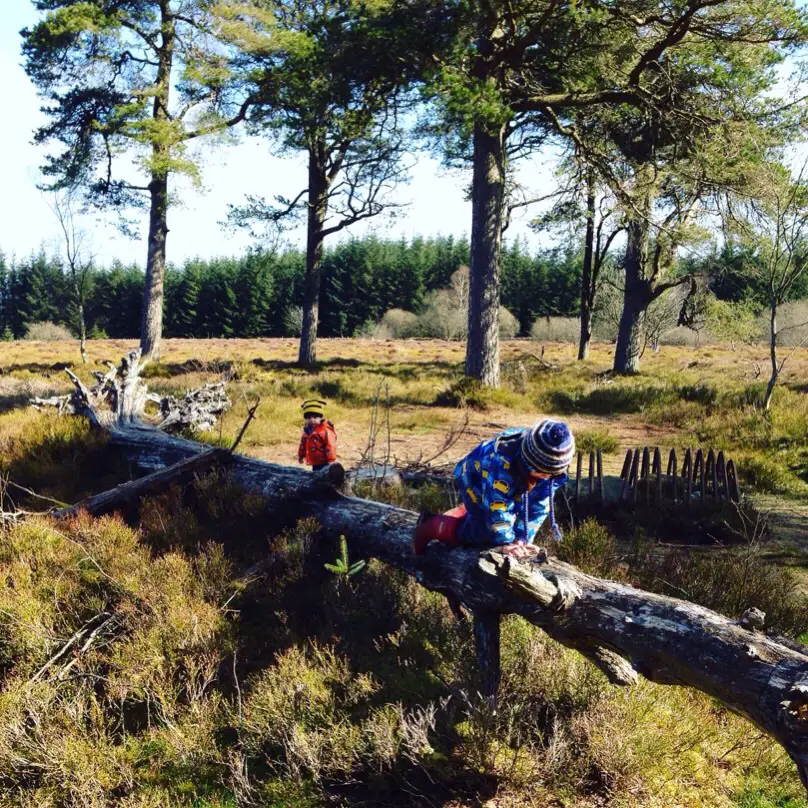 Sheriffmuir Gathering Stone