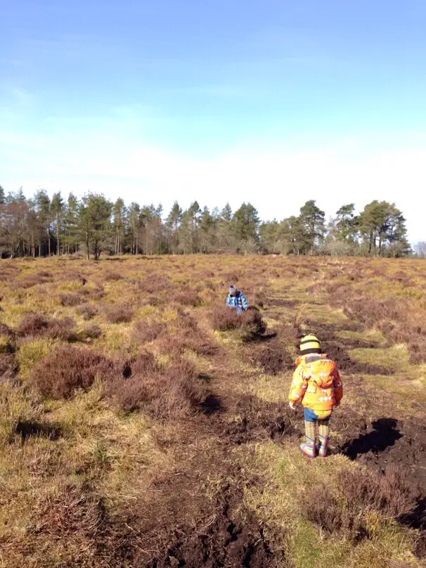 Sheriffmuir Gathering Stone