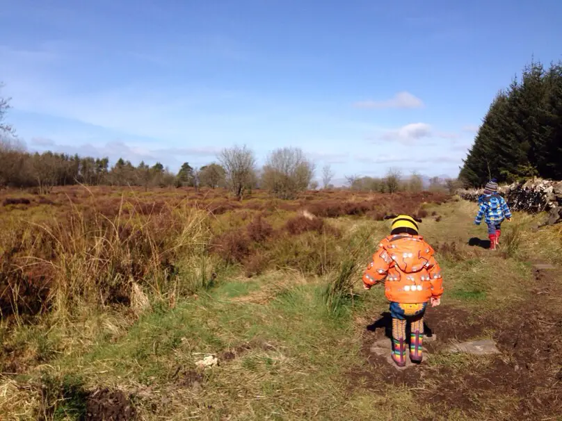 Sheriffmuir Gathering Stone