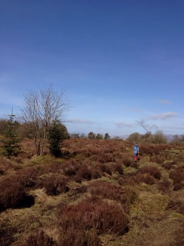 Sheriffmuir Gathering Stone