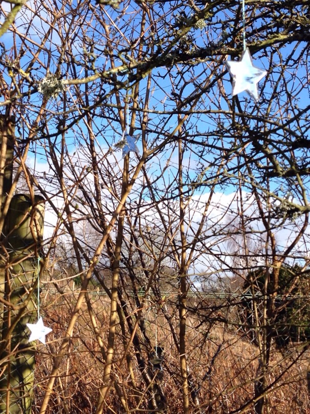 stars allotment