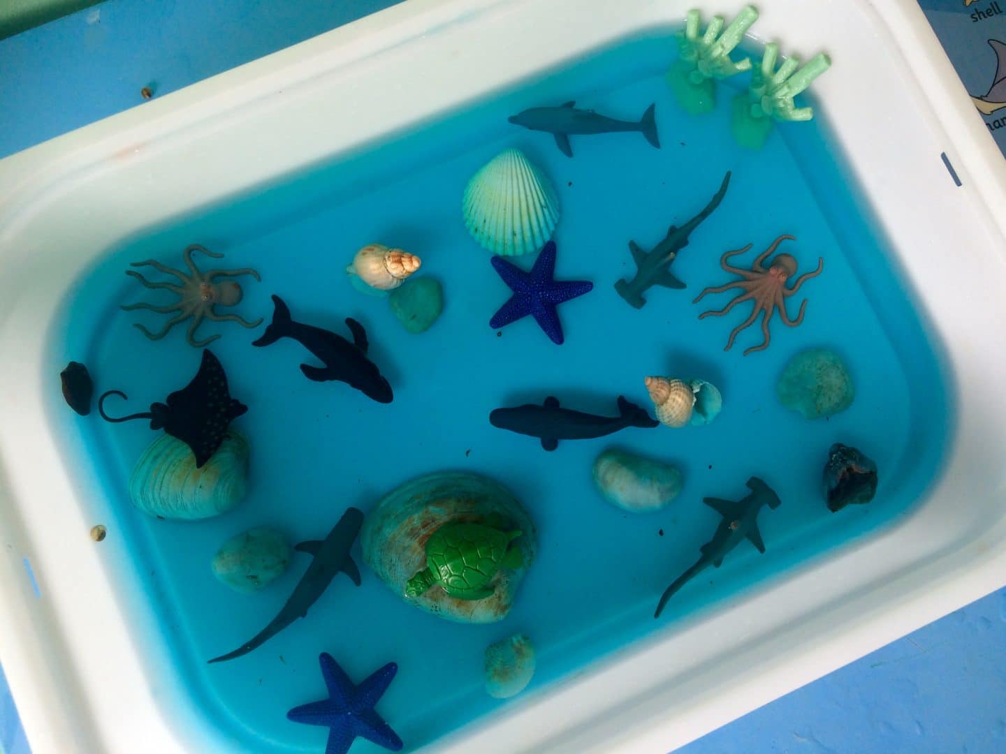 Under The Sea Sensory Bin Monkey And Mouse