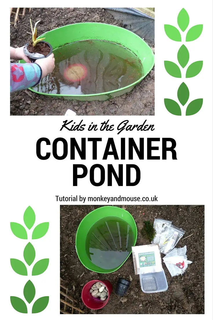 container pond tutorial