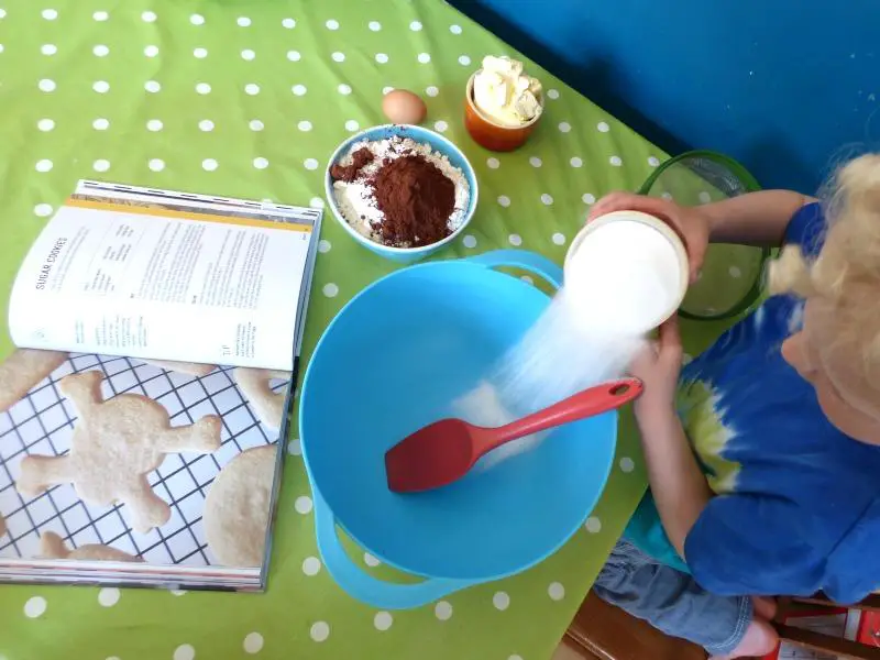 Recipe for delicious chocolate bug biscuits