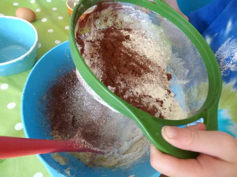 Recipe for delicious chocolate bug biscuits