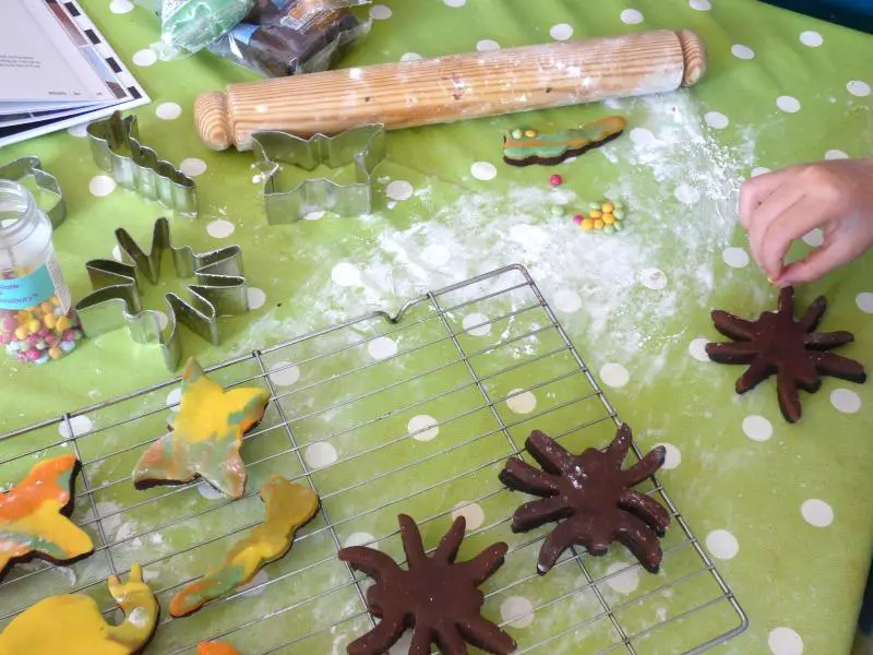 Recipe for delicious chocolate bug biscuits