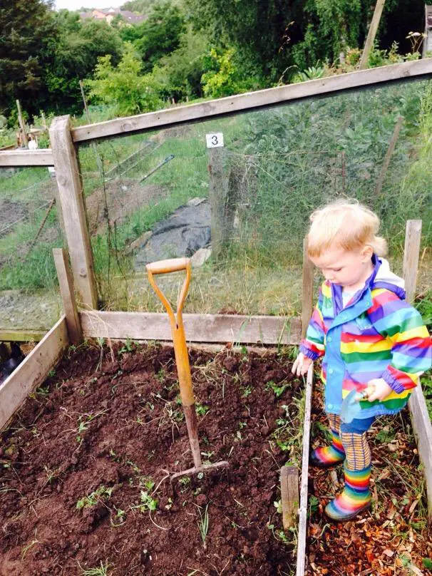 allotment Marshalls