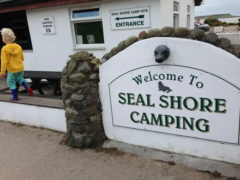 Seal Shore Campsite