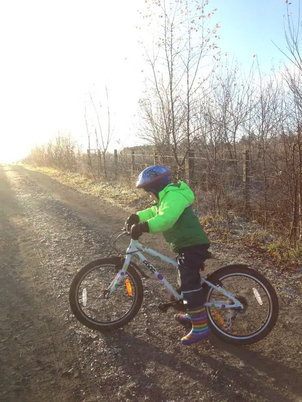 Learning to ride on a Frog Bike