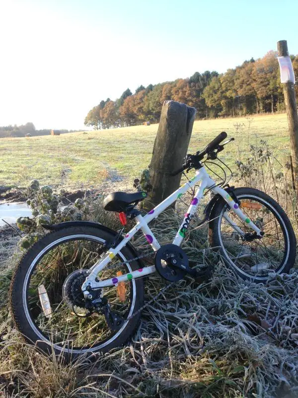 two bike rack