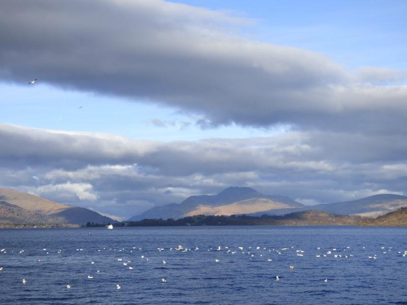 loch-lomond-celtic-warrior-cruise-monkey-and-mouse