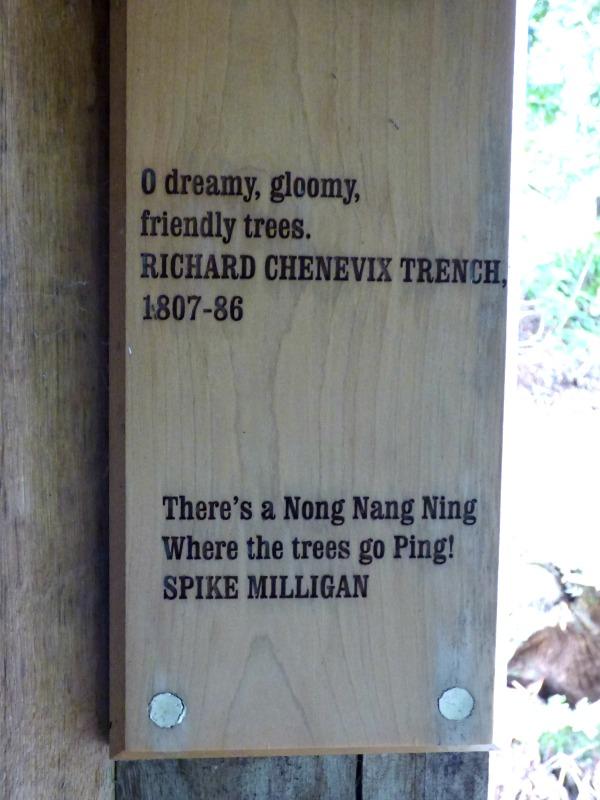 Ning Nang Nong