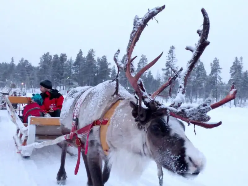 santas lapland review