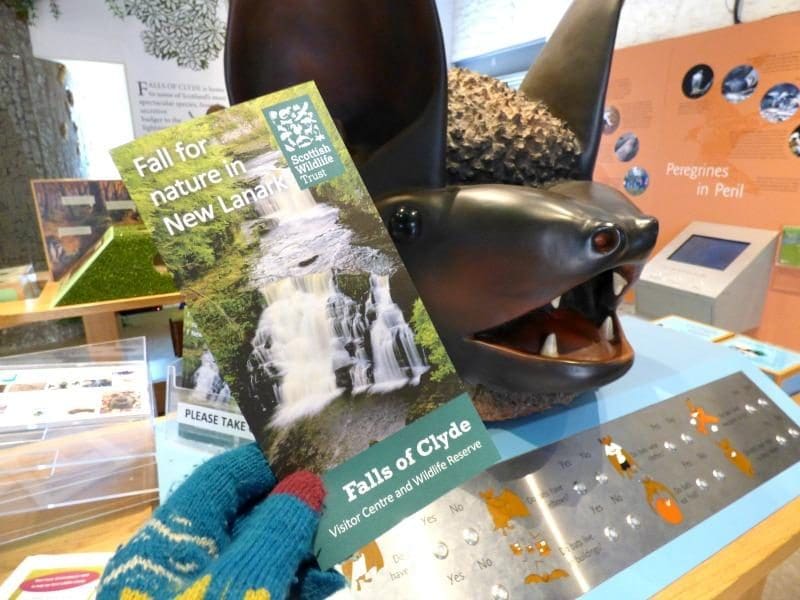falls of the clyde visitor centre