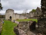 Inchmahome Priory and Wildflower ID Monkey and Mouse
