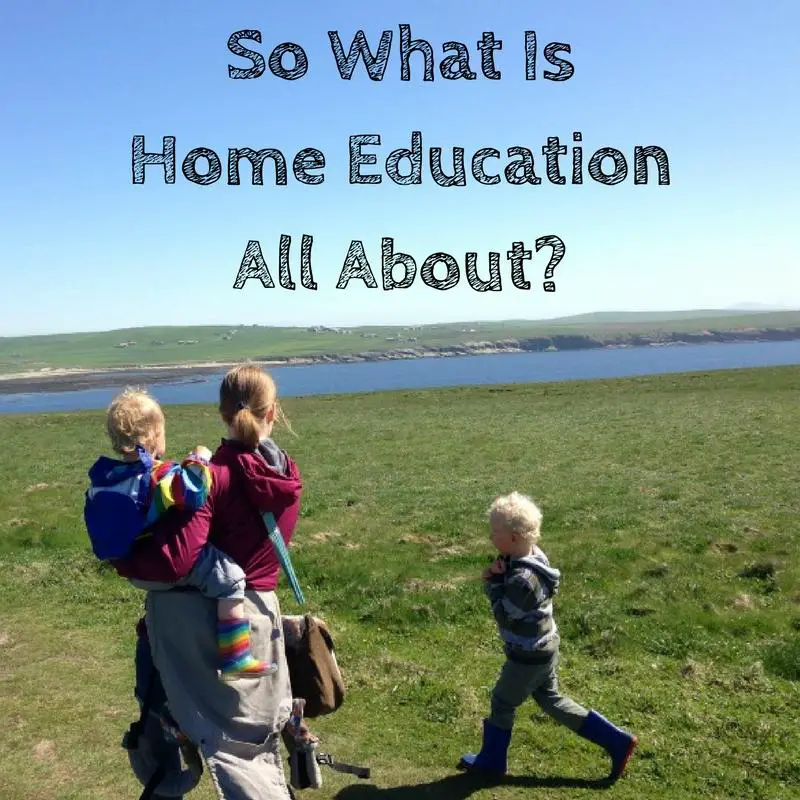 so-what-is-home-education-all-about-monkey-and-mouse