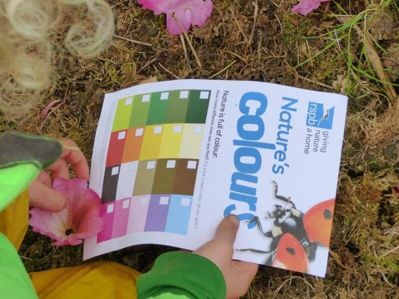 rspb colour