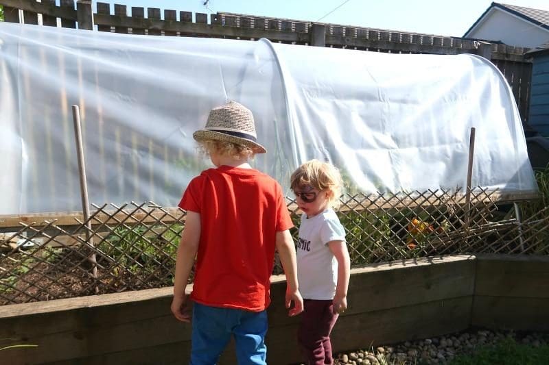 inspecting the polytunnel