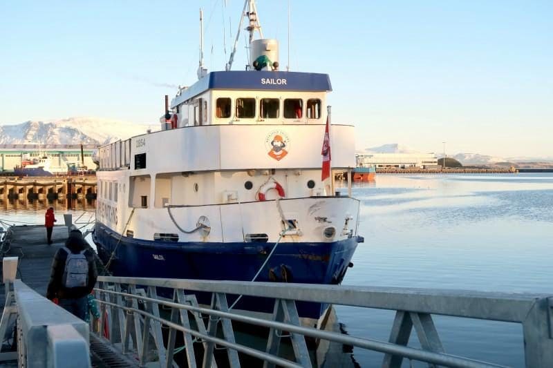 whale watching boat Iceland