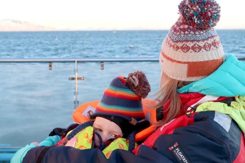 iceland whales