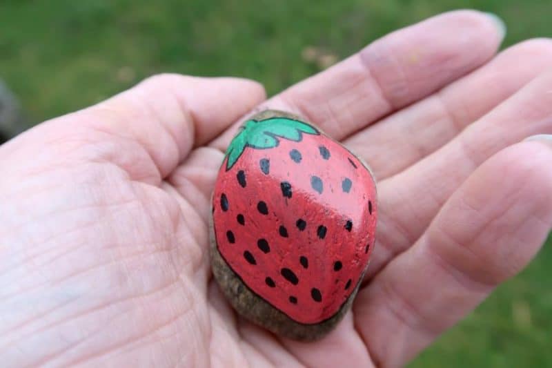 painted strawberry rock