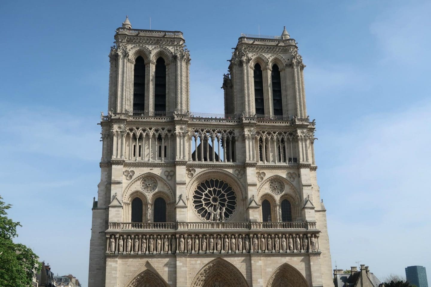 Notre Dame - Monkey and Mouse