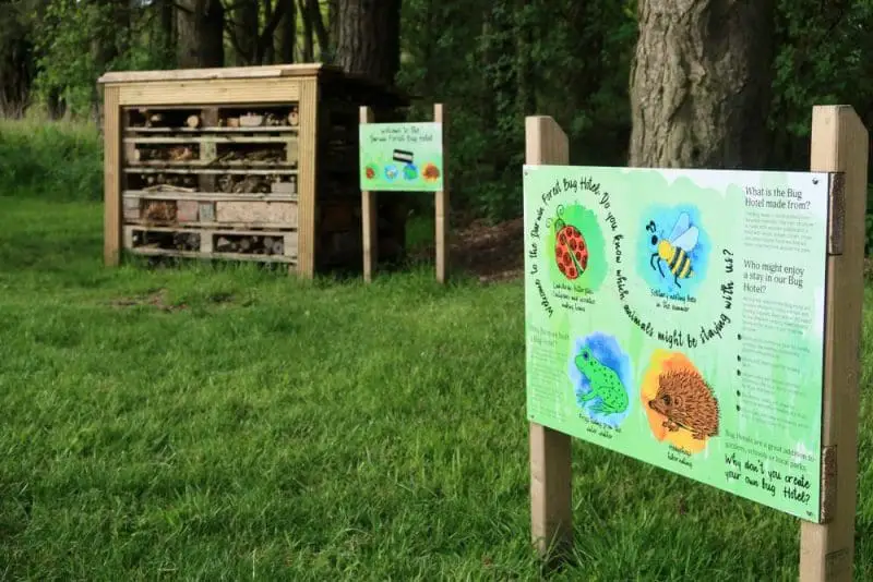 bug hotel at Darwin forest