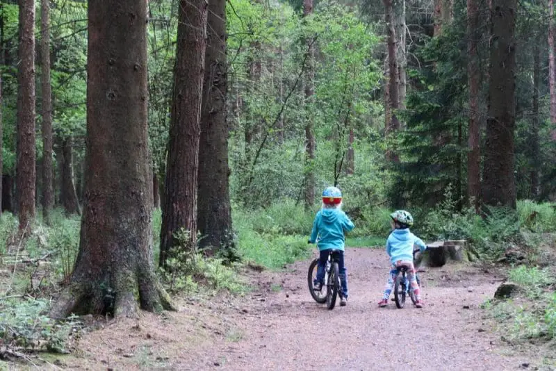 Darwin Forest cycling in the forest