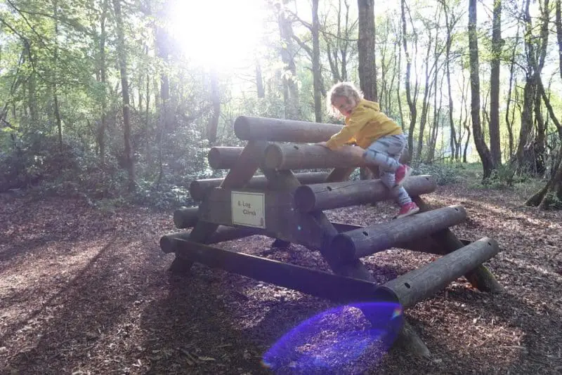 Trim Trak climbing apparatus at Darwin Forest woodland