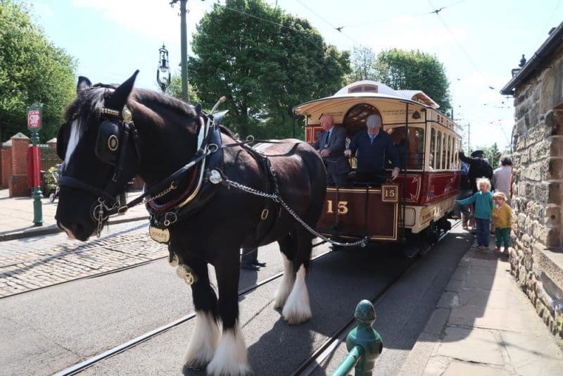 horse pulling an old tram Crich tram museum