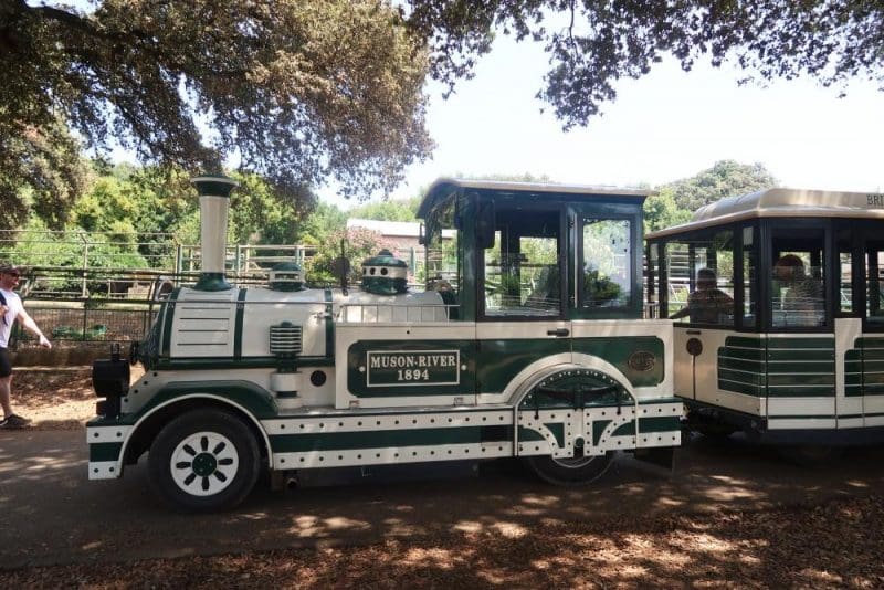 road train at Brijuni safari park