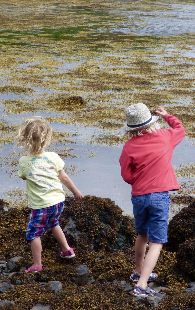 Ulva, boys throwing stones in sea