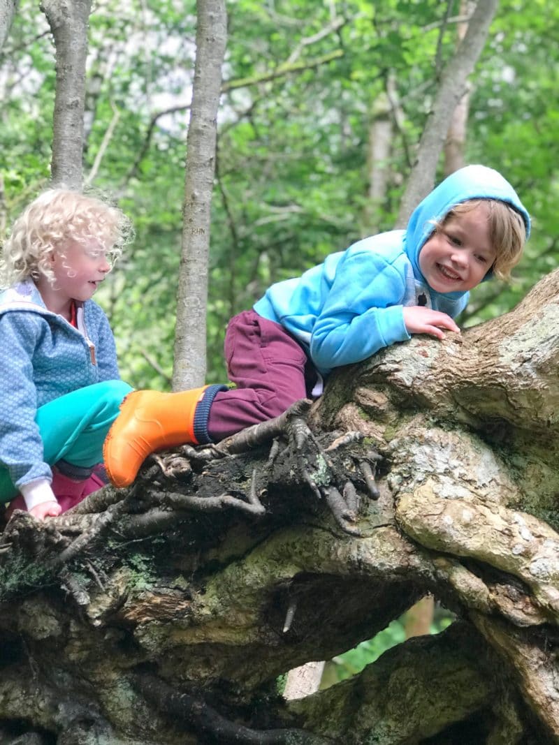 tree climbing in the woods