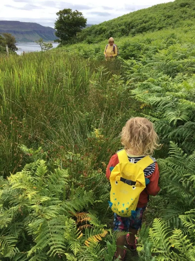 walking through bracken on Ulva