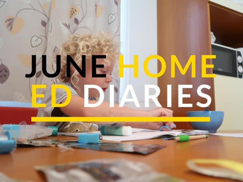 home ed diaries